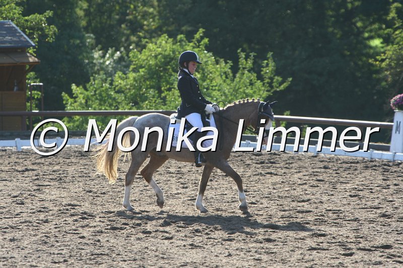 109M4952_Giglbergs Ragtime_Dressurreiter A.JPG